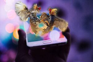 Cach Da Ga Mang Luon Thang – Goc Nhin That Tu Dan Choi