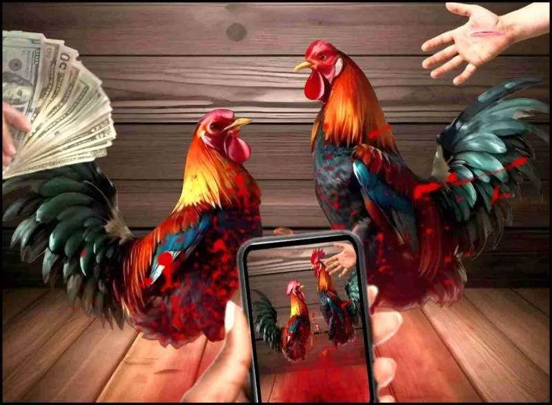 Đá Gà Online Có Bị Bắt Không? Sự Thật Cần Biết Trước Khi Tham Gia 4 Những trường hợp dễ bị bắt nhất khi chơi đá gà online