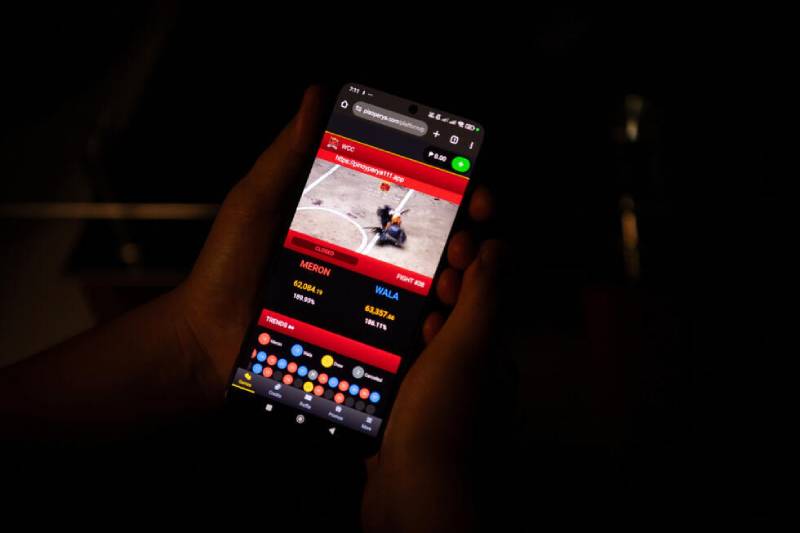 Đá Gà Online Có Bị Bắt Không? Sự Thật Cần Biết Trước Khi Tham Gia 1 Pháp luật Việt Nam quy định thế nào về đá gà online