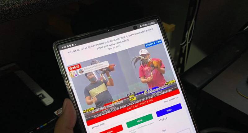 Đá Gà Online Có Bị Bắt Không? Sự Thật Cần Biết Trước Khi Tham Gia 2 Vì sao nhiều người nghĩ đá gà online không bị bắt